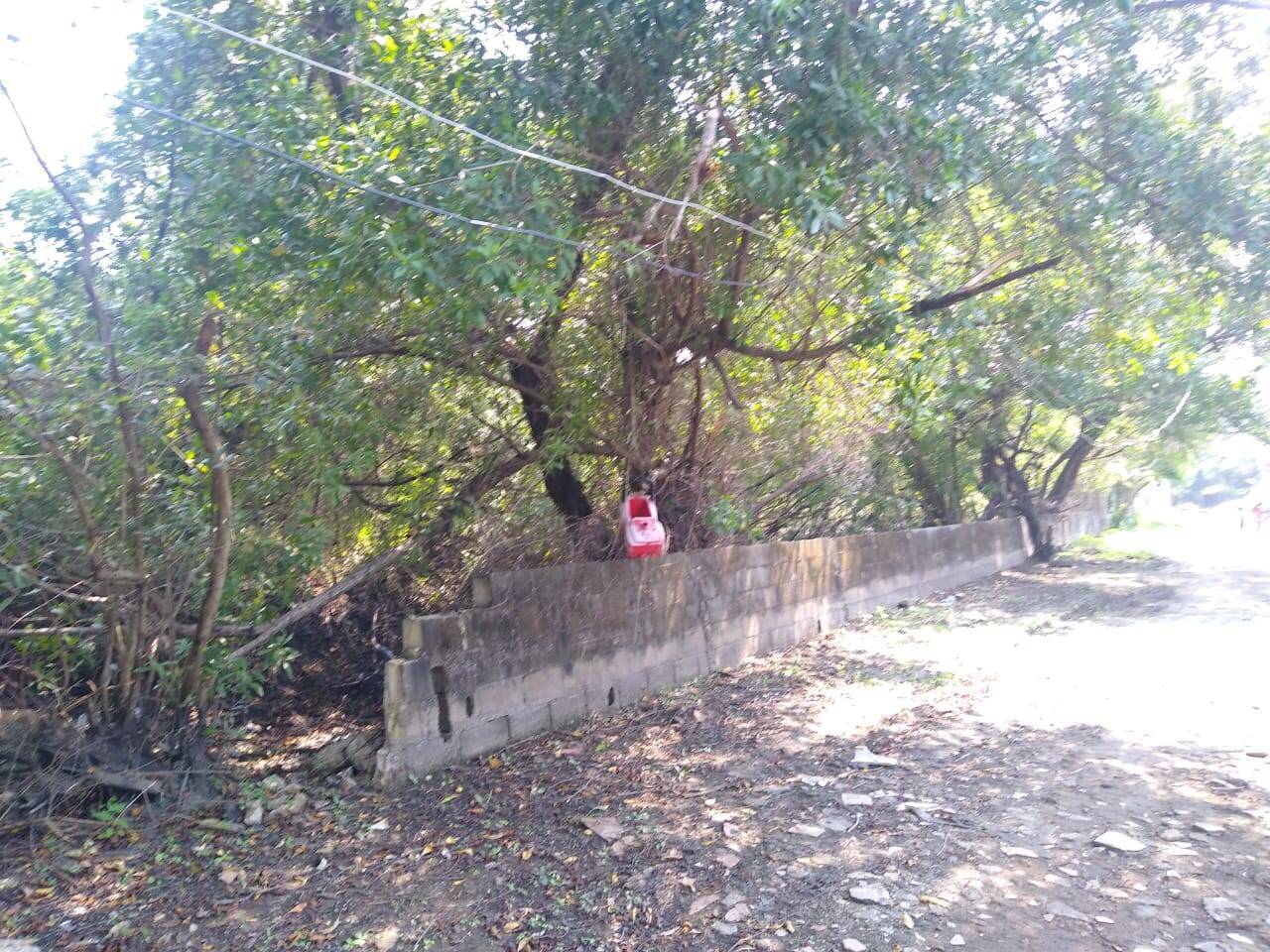 #266 - Área para Venta en Acapulco de Juárez - GR