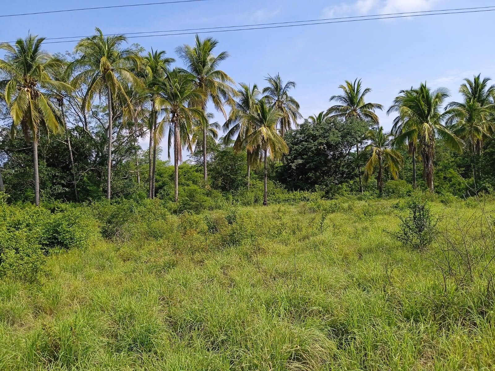 #323 - Área para Venta en San Marcos - GR