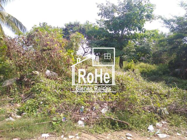 Área para Venta en Acapulco de Juárez - 4