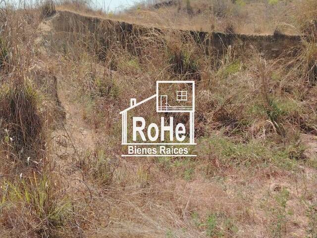 #317 - Área para Venta en Acapulco de Juárez - GR - 3