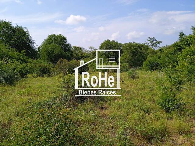 #323 - Área para Venta en San Marcos - GR - 3
