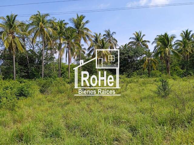 #323 - Área para Venta en San Marcos - GR
