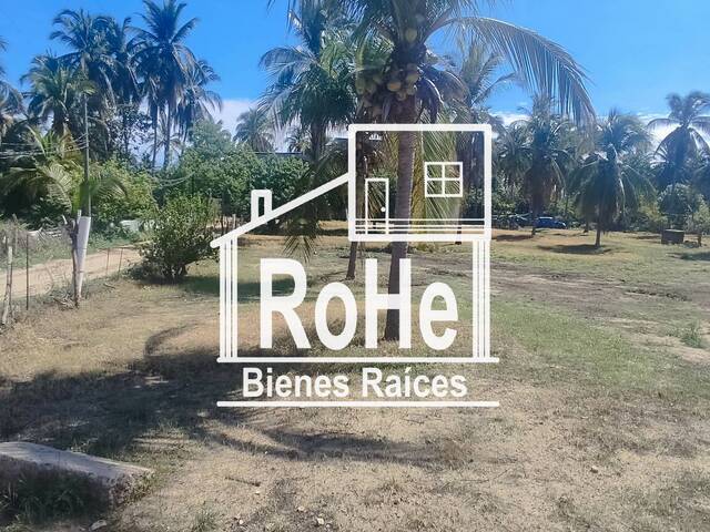 Área para Venta en Acapulco de Juárez - 4